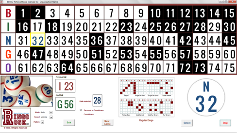 Bingo Hall Plus software